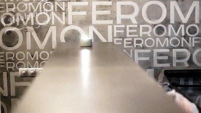 Кальянная Feromon Lounge Bar